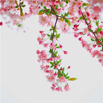 代号英雄手游下载